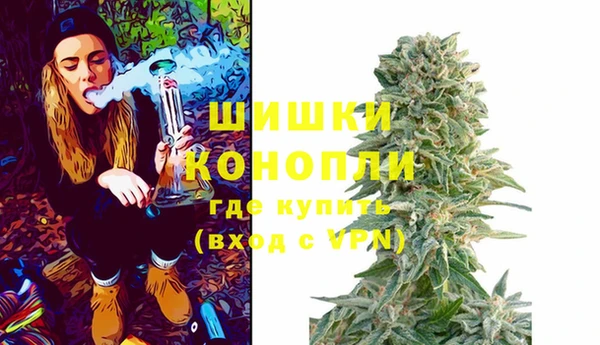 МДПВ Мегион